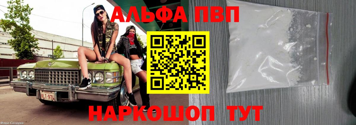 Alfa_PVP СК Волхов