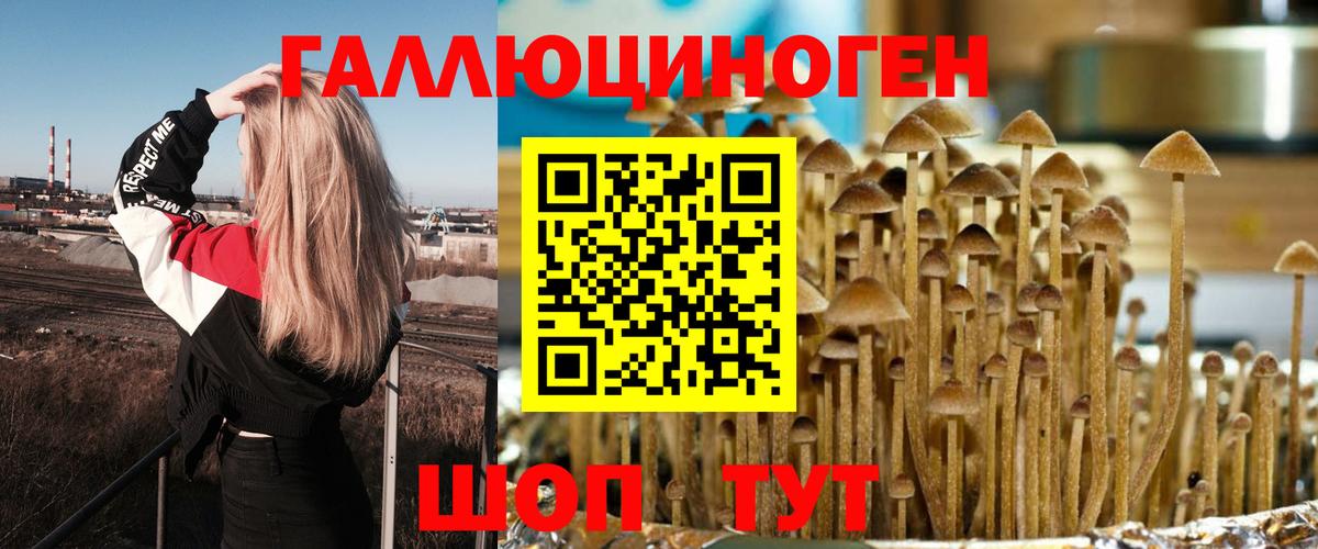 Галлюциногенные грибы прущие грибы Волхов