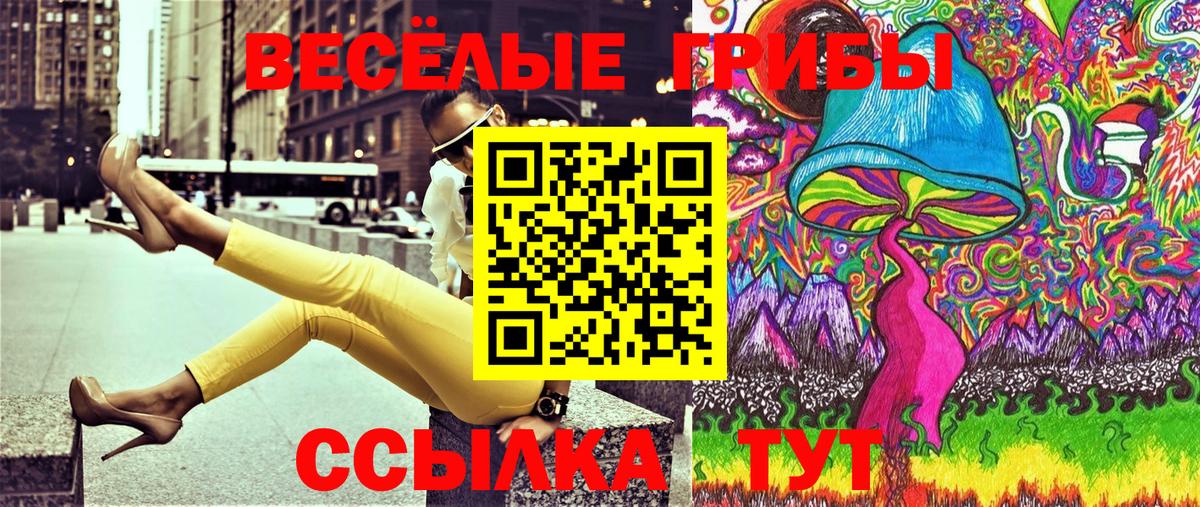 Псилоцибиновые грибы Psilocybine cubensis  Вход с VPN  Волхов 